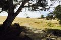 Property photo of 4 Harrogate Road Harrogate SA 5244