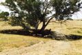 Property photo of 4 Harrogate Road Harrogate SA 5244