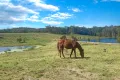 Property photo of 69 Greenhalgh Road Bells Bridge QLD 4570