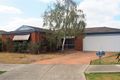 Property photo of 12 Jeffrey Court Epping VIC 3076