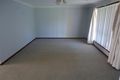 Property photo of 23 O'Connor Street Tolland NSW 2650