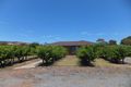 Property photo of 70 Trotts Road McLaren Flat SA 5171