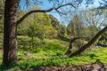 Property photo of 47 Maning Avenue Sandy Bay TAS 7005