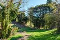 Property photo of 47 Maning Avenue Sandy Bay TAS 7005