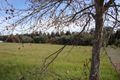 Property photo of 3 Balmoral Drive Bridgetown WA 6255
