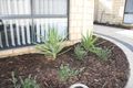 Property photo of 2/197 Kent Street Rockingham WA 6168
