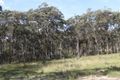 Property photo of 6 Lomatia Close Tallong NSW 2579