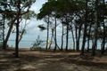 Property photo of 4 Welsby Street Coochiemudlo Island QLD 4184