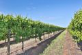 Property photo of 37 Hand Road Red Cliffs VIC 3496
