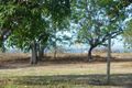 Property photo of 14 The Esplanade Toolakea QLD 4818