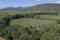 Property photo of 51R Crees Road Craiglie QLD 4877