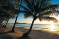 Property photo of 4 Narabeen Street Kewarra Beach QLD 4879