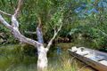 Property photo of 10 Yangubbi Lane Cooroibah QLD 4565