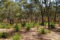 Property photo of 79 Williams Road Burua QLD 4680