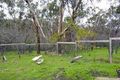 Property photo of 22-28 Pioneer Road Yarrambat VIC 3091