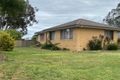 Property photo of 53 Buffalo Crescent Thurgoona NSW 2640