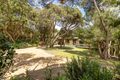 Property photo of 56 Andrea Street Rye VIC 3941