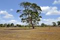 Property photo of 37 Howe Street Seymour VIC 3660