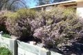 Property photo of 2077 Ophir Road Rock Forest NSW 2795