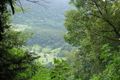 Property photo of 616 Tomewin Mountain Road Currumbin Valley QLD 4223