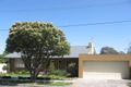 Property photo of 59 Luckie Street Nunawading VIC 3131