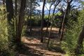 Property photo of 5 Middle Heights Road Coledale NSW 2515
