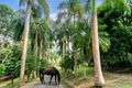 Property photo of 63 Mason Road Kuranda QLD 4881