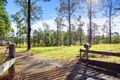Property photo of 205 Hasthorpe Road Kandanga QLD 4570