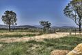 Property photo of 102 Bryans Gap Road Tenterfield NSW 2372