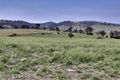 Property photo of 102 Bryans Gap Road Tenterfield NSW 2372