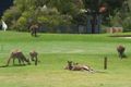 Property photo of 37 Pavilion Circle The Vines WA 6069