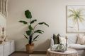 Property photo of 8/14-16 Tolman Court Maroochydore QLD 4558