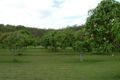 Property photo of 10 Old Cedars Road South Bingera QLD 4670