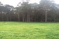 Property photo of 10 Dobbins Place Witchcliffe WA 6286