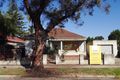 Property photo of 33 McGregor Terrace Rosewater SA 5013