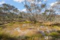 Property photo of 79 Roberts Road Grattai NSW 2850