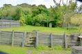 Property photo of 11 Nioka Avenue Point Clare NSW 2250