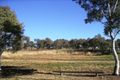Property photo of 31 Enid Lorimer Circuit Chisholm ACT 2905