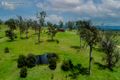 Property photo of 3 Newlyns Place Frogs Hollow NSW 2550