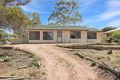 Property photo of 6 Joyce Avenue Paringa SA 5340