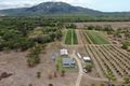 Property photo of 306 Euri Road East Bowen QLD 4805