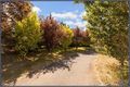 Property photo of 60 Molonglo River Drive Carwoola NSW 2620
