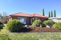 Property photo of 6 Martin Place Myrtleford VIC 3737