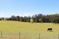 Property photo of 1 Cotton Street Tinonee NSW 2430