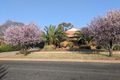 Property photo of 21 Golden Bar Drive Parkes NSW 2870