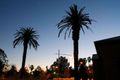 Property photo of 10 Golden Way Albury NSW 2640