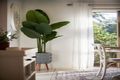Property photo of 59 Orana Avenue Pomona QLD 4568