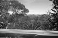Property photo of 321 Mooloolaba Road Buderim QLD 4556