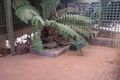 Property photo of 94 Franklin Road Orange NSW 2800
