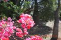 Property photo of 29 Cole Drive Highfields QLD 4352